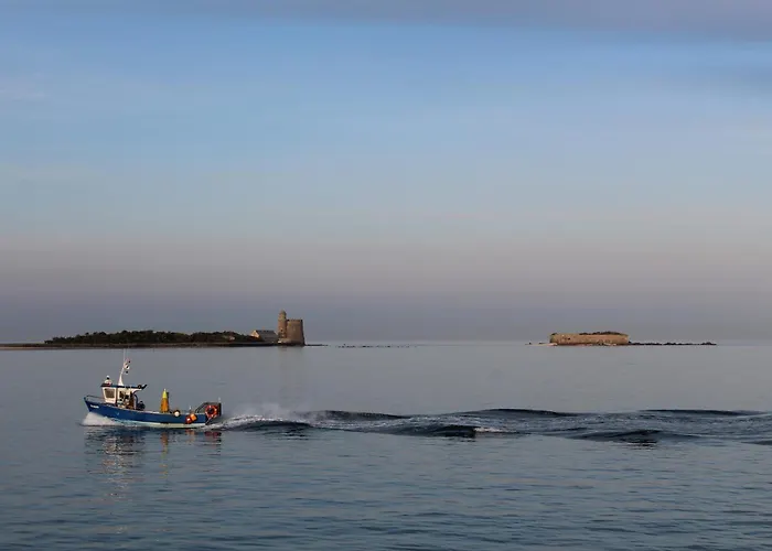 Holiday home Maison 2 Chambres, De Centre Ville, Avec Cour Exposition Sud, A 300 M Du Port